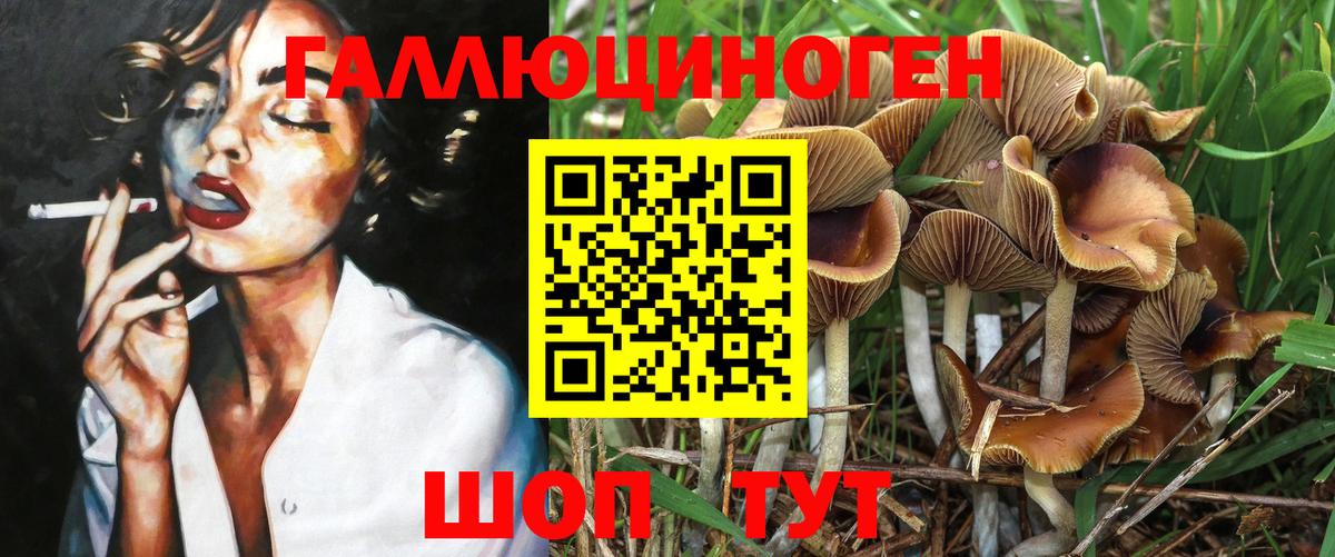 Галлюциногенные грибы MAGIC MUSHROOMS Абинск