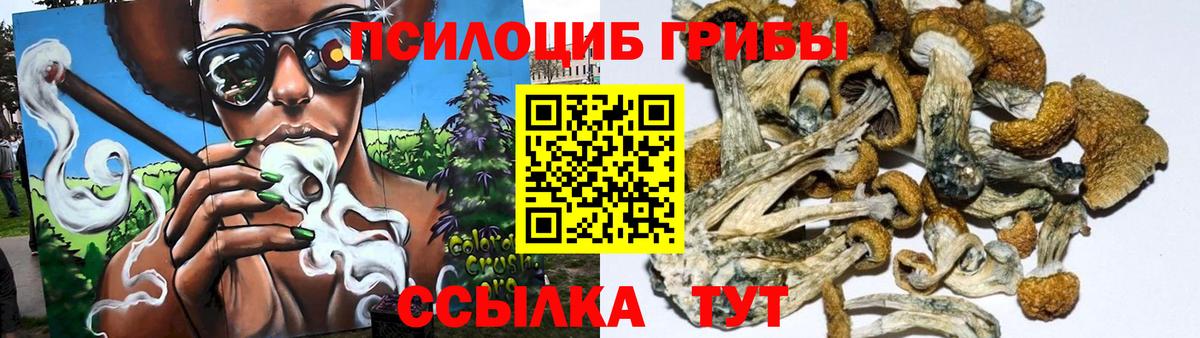 Абинск  Галлюциногенные грибы Psilocybe  наркошоп  Вход с VPN 